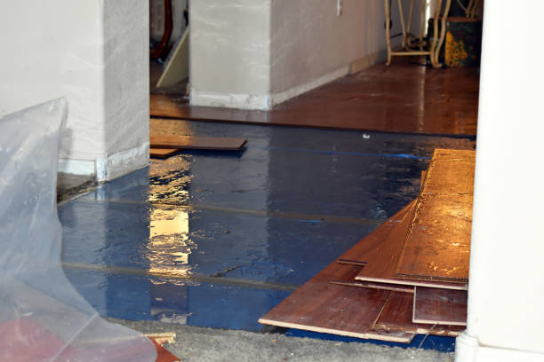 Professional Sewage Cleanup technician working in San Marcos, TX